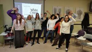 White Crane Tai Chi Class in NY by Tai Chi Foundation