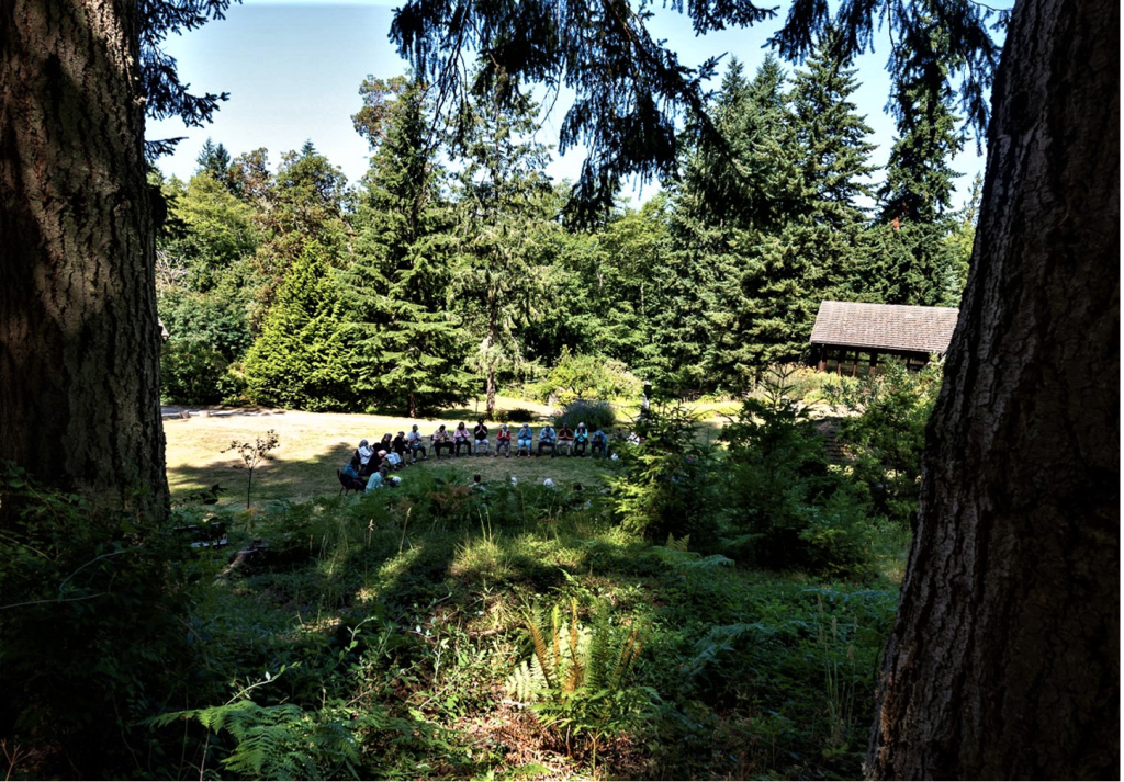 Group of people practicing tai chi at Whidbey Island