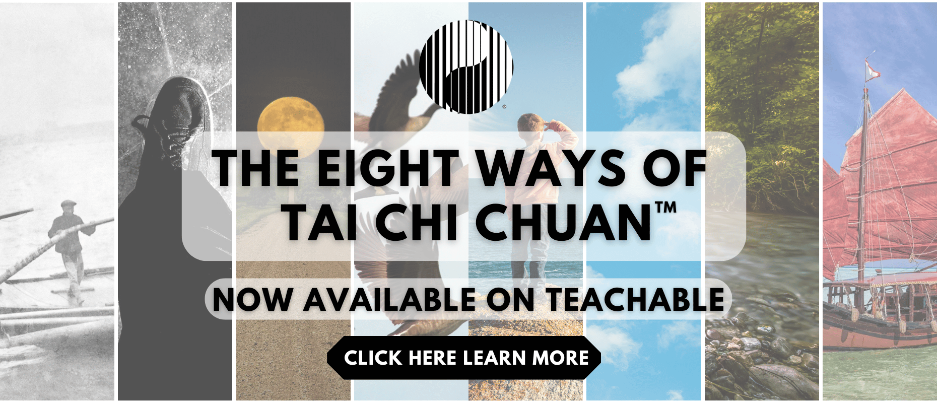 various images representing the 8-ways of tai chi chuan program